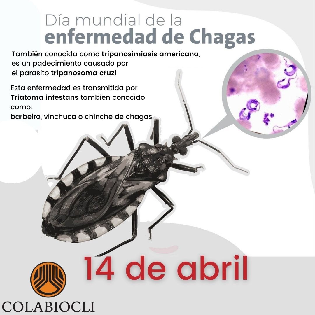 Día Mundial de la enfermedad de Chagas